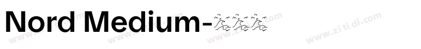Nord Medium字体转换 Nord Medium字体转换
